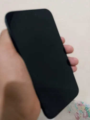 iPhone 15 Plus (128 Gb) - Negro (Usado)