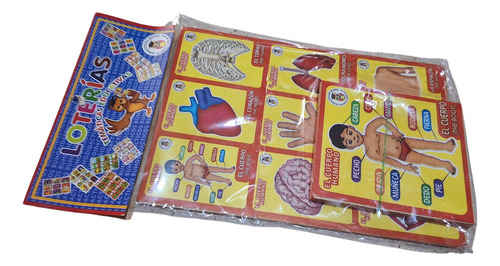 Juego Mesa Lotería Educativa Partes Cuerpo Didáctica Escolar