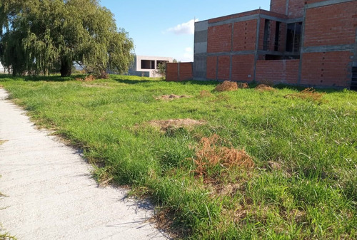 Lote En Venta Barrio San Carlos, En Esquina