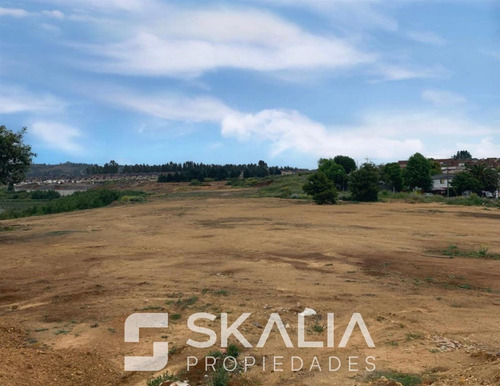 Sitio De 27.300 M2, Lomas San Sebastian, Concepción.