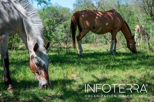Imagen 8 de 14 de Venta De Lotes Calamuchita