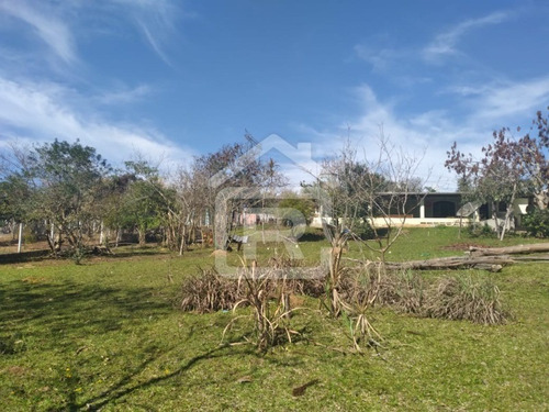 Imagem 9 de 30 de Linda Chacára Com Boa Topografia E Piscina - 27 - 70055572