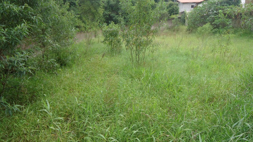 Imagem 2 de 4 de Terreno 1200,00m2 Em Condomínio