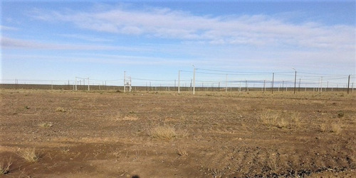 Imagen 4 de 4 de Terreno En Venta, 300 M2, Centenario, Zona Autódromo