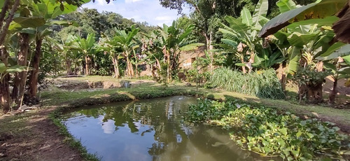 Imagem 12 de 26 de Juquiá/oportunidade/chácara Rica Em Água E Área De Plantio/ref:05354