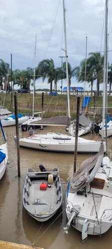 Quantum 29 -