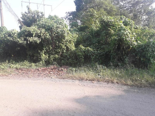 Imagen 3 de 4 de Terreno En Venta La Escondida