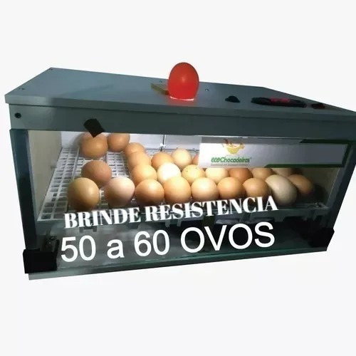 Chocadeira Ate50ovos Automática Brinde Resistência