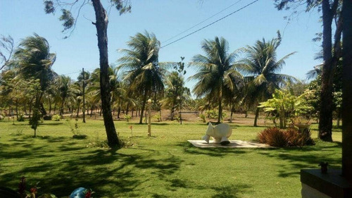 Imagem 3 de 14 de Chácara À Venda, 41000 M² Por R$ 800.000,00 - Pecém - São Gonçalo Do Amarante/ce - Ch0001