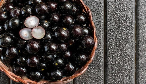 Acai Palmera Muy Bonita, De Fruto Exotico