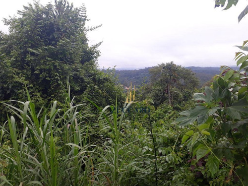 Terreno À Venda, 1984 M² Por R$ 187.000,00 - Alpes De Caieiras - Caieiras/sp - Te0889