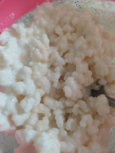 Búlgaritos Kefir De Leche.