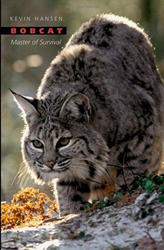 Libro Bobcat: Master Of Survival - Nuevo