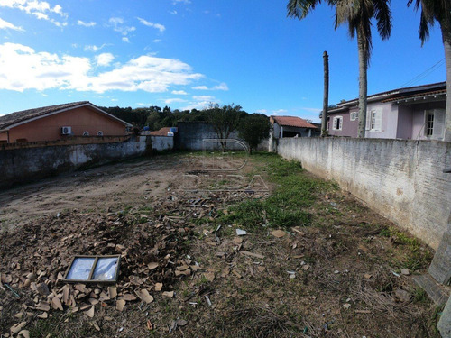 Terreno - Jardim Angelica - Ref: 29106 - V-29104