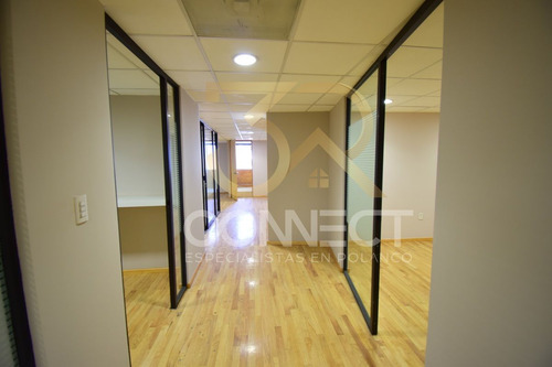 Oficina En Renta En Anzures 15c/3b/1e - Excelente Ubicación - 450m2