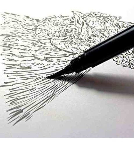 Pentel Arts Pocket Brush Pen Incluye 2 Recargas De Tinta Neg