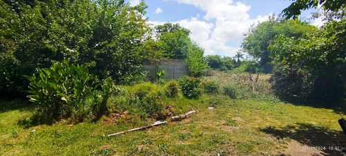 Terreno En Venta Colectora Oeste, Acceso Norte, Panamericana Ramal Pilar Km42.5, Del Viso