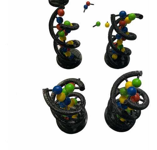 Adn Molécula