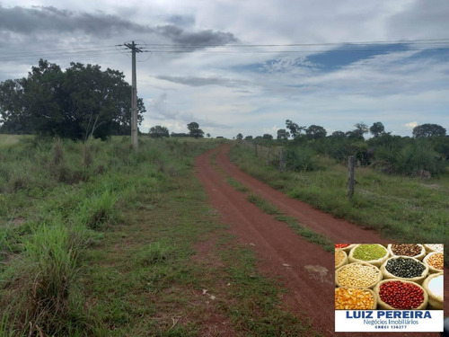 Imagem 10 de 15 de Fazenda À Venda Em Marianópolis - To - De 429 Alqueirão (dupla Aptidão) - 1682
