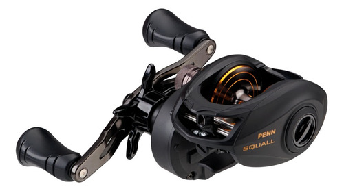 Carretilha Penn Fishing Squall 300