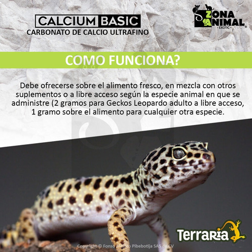 Calcio Ultrafino Terraria Reptiles Sin D3 Calcium Basic 60