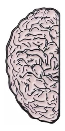Pin Prendedor Doble Corazón Y Cerebro
