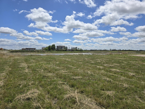 Venta Terreno En Campos De La Enriqueta