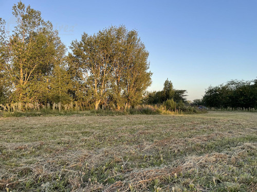 Lote Terreno Fraccion Campo 1 Hectarea En Venta Opotunidad Financia- Lujan