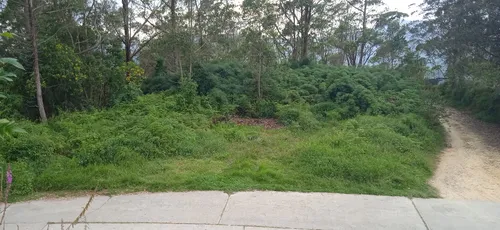 Terreno Sector Alto Fogón