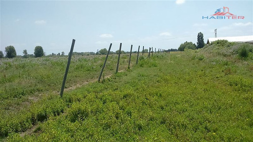 Imagen 3 de 30 de Agrícola En Venta En Linares