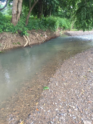 Imagen 3 de 7 de Finca En Venta En Guarico
