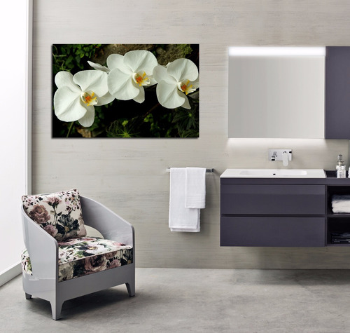 Cuadro 60x90cm Orquideas Blancas Flor Life Decora Baño Vida