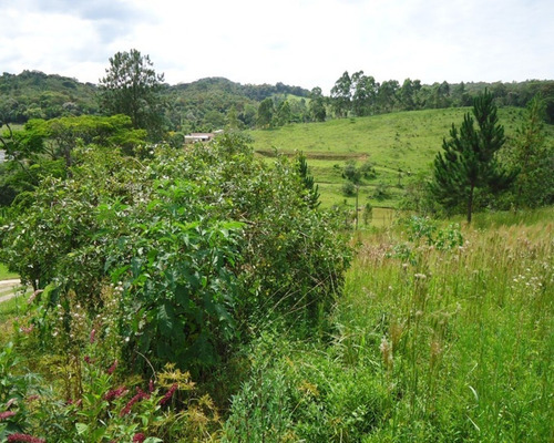 Imagem 4 de 5 de Terreno À Venda Em Juquitiba - 318 - 32982572