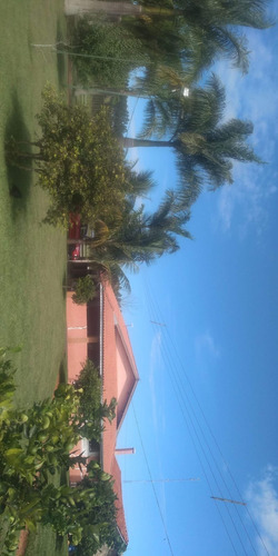 Imagem 7 de 30 de Sítio 5 Alqueires Sendo 3,5 De Pasto, Beira Da Pista, Lago,rio, Casa Sede, Casa Caseiro, Barracão, Pomar, Poço Artesiano, Caixa De Agua, Churrasqueira - St00095 - 69872057