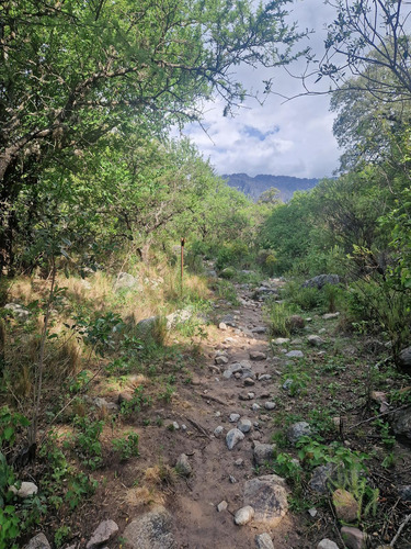 Lindo Terreno En Venta, Vistas, Acceso, Escritura!! En Las Rabonas Traslasierra!!