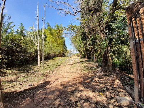 Chácara À Venda Em Sousas - Ch005137