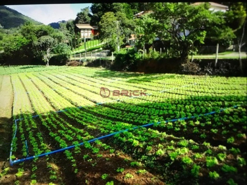 Imagem 4 de 9 de Sítio Com 54 Mil M² Em Vargem Grande, Teresópolis/rj. - St00211 - 69918534