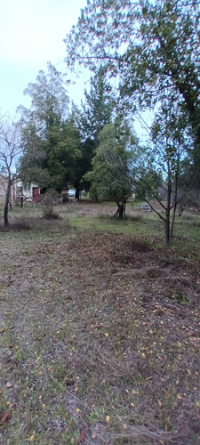 Se Vende Hermosa Parcela, De 5000 Mts 2, Parcela 51, Sector 