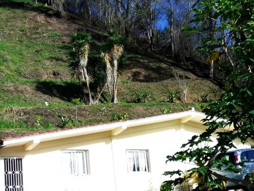 Imagen 11 de 13 de Casa En Venta, Potrerito. Mp