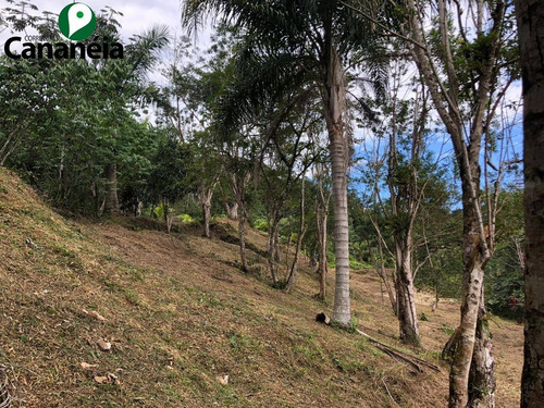 Ótimo Terreno A Venda - 9.000m2 Com Vista Panorâmica - Bairro Morro São João - Cananéia/sp - Te00048 - 68497510