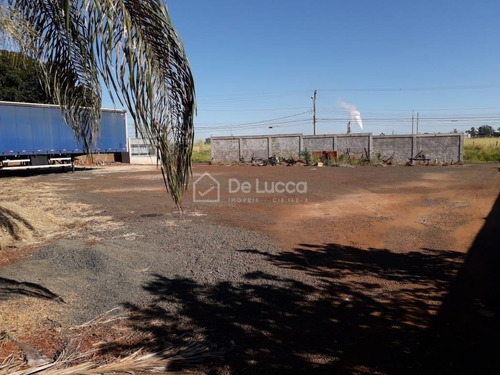 Imagem 4 de 7 de Chácara À Venda Em Betel - Ch009684