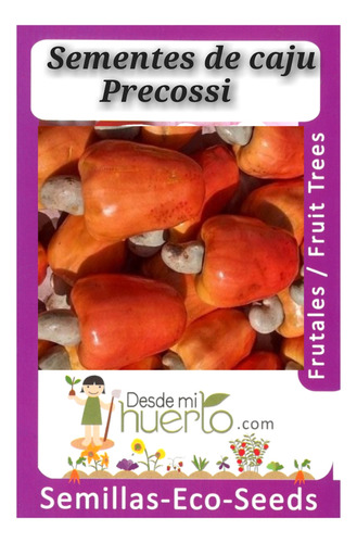 20 Sementes Castanha De Caju Anão Precossi P/ O Plantio