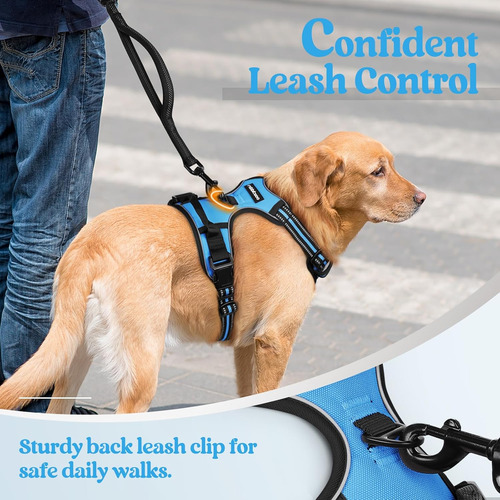 Arnés Para Perro Rabbitgoo Ajustable No Tirar Talla M