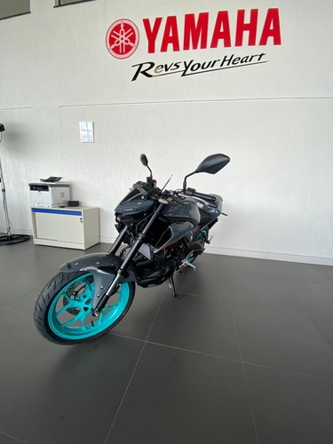 Yamaha Mt 03 24/24 Todas As Cores - Pronta Entrega (bruno)