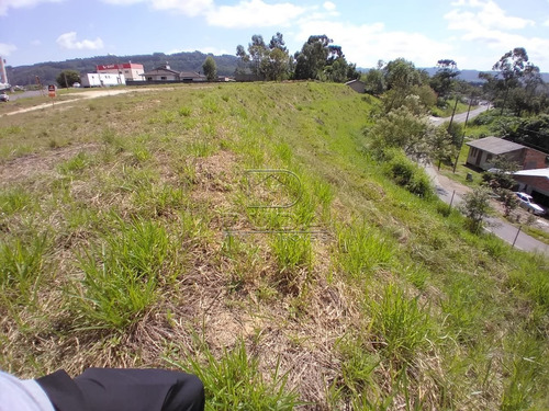 Imagem 5 de 10 de Terreno - Rio Maina - Ref: 33438 - V-33435