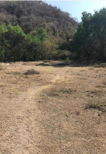 Imagen 10 de 14 de Rancho En Amacuzac, Huantitlan, Morelos.