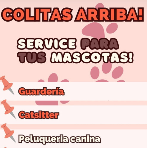 Pensionado De Perris . Cuido Gatitos A Domiciio