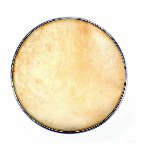 Imagem 6 de 10 de Pele De Couro 8 Polegadas Banjo Profissional Envio Imediato