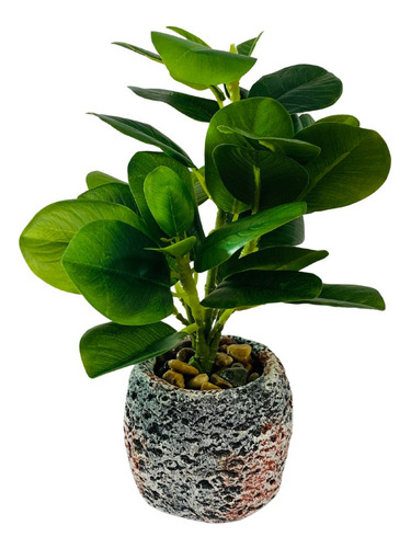 Arranjo De Flor Artificial Peperômia Sortido 28cm - Vencedor