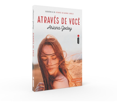 Livro Através De Você (sequência De Através Da Minha Janela)